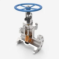 Soild Wedge Gate Valve